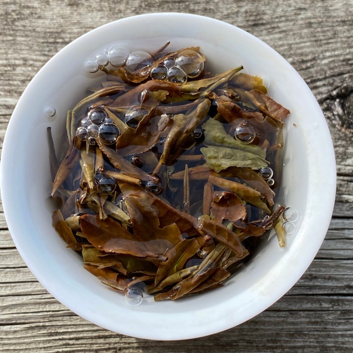 6A477C0C-51C9-4485-B70C-CFFCA0B493F8