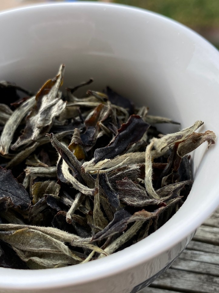 B80FF4F4-A009-480F-A51D-D03CC1CA86A7