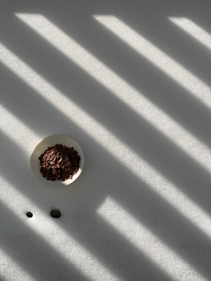 F170D22D-67E0-4D6B-921E-E335BDBF71E6