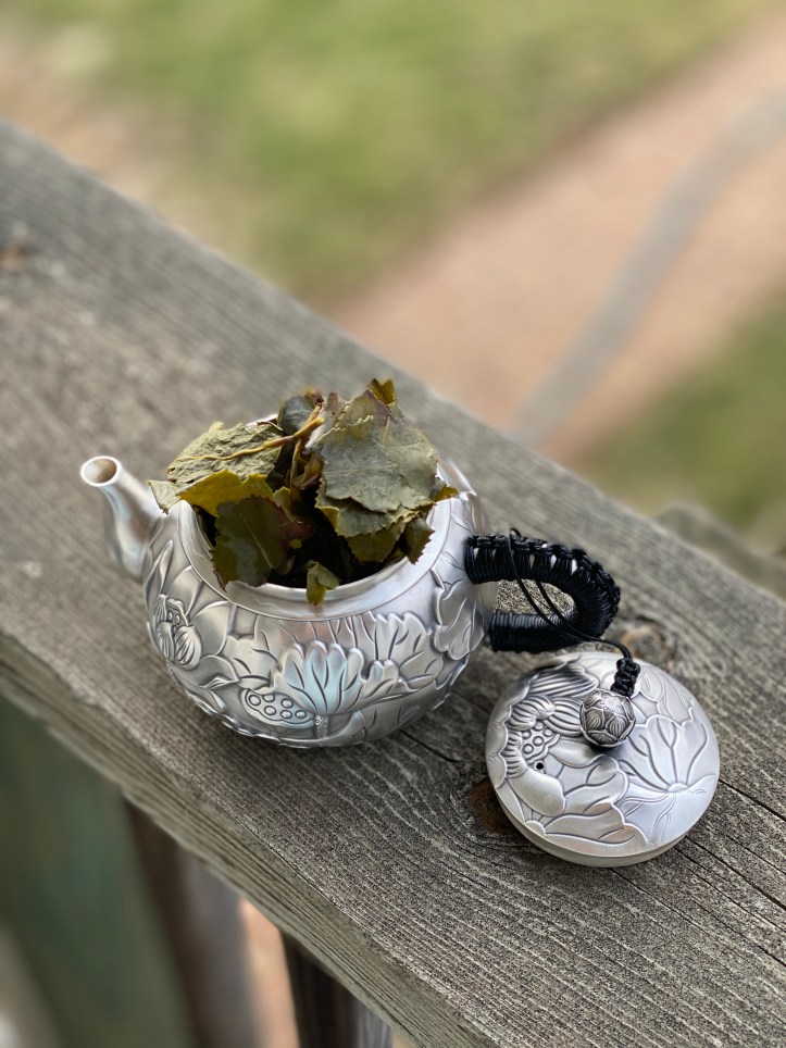 42B557D5-7442-4F8C-97CD-C2271556E5EA