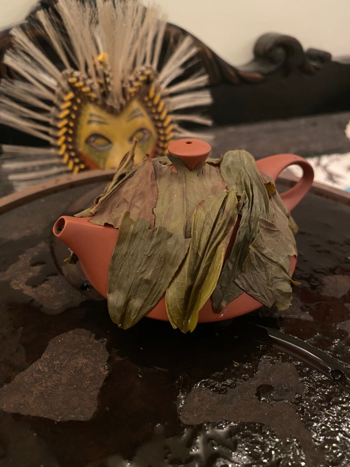 2F9CAA7B-307F-47A3-A9F0-4A12D8081202