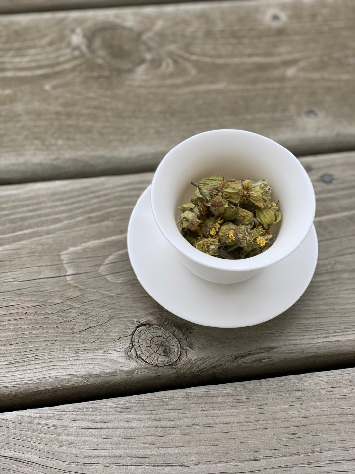 09163EA8-43B5-44B2-BE9A-7C402A46F14B